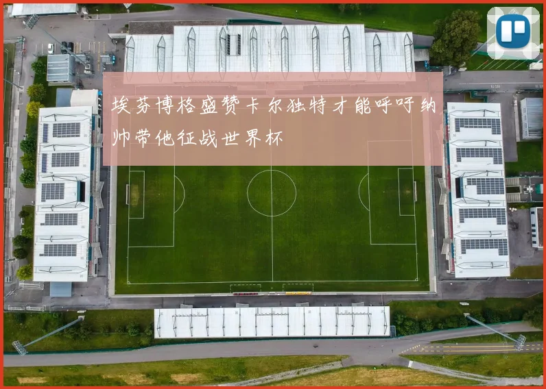 埃芬博格盛赞卡尔独特才能呼吁纳帅带他征战世界杯