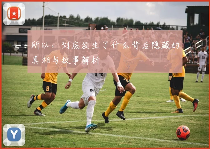 所以，到底发生了什么背后隐藏的真相与故事解析