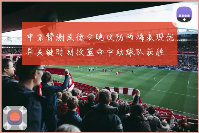 申京赞谢泼德今晚攻防两端表现优异关键时刻投篮命中助球队获胜