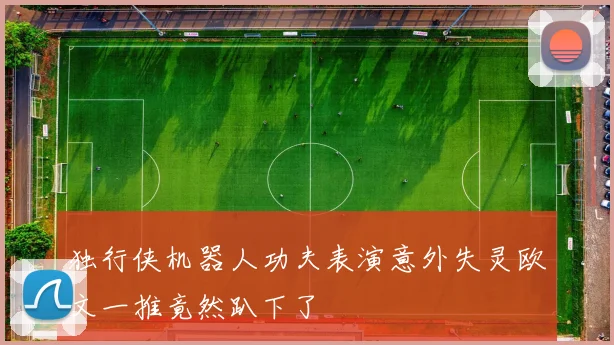 独行侠机器人功夫表演意外失灵欧文一推竟然趴下了
