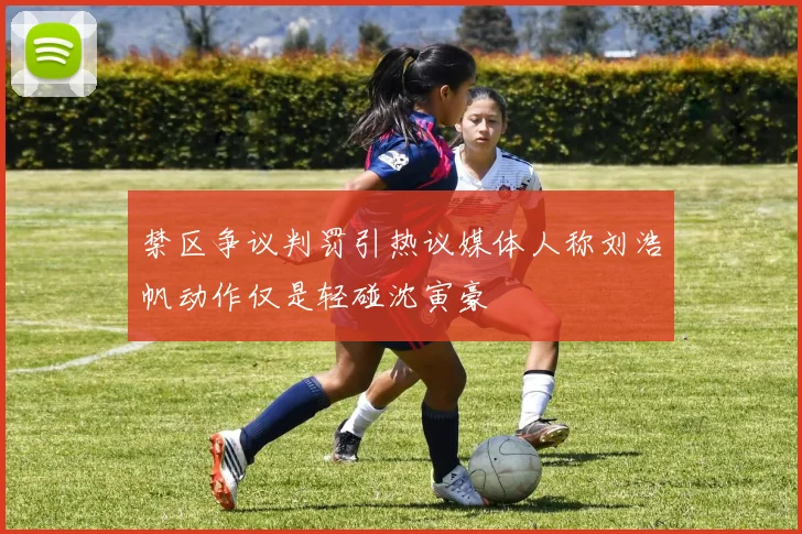禁区争议判罚引热议媒体人称刘浩帆动作仅是轻碰沈寅豪